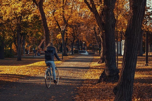 cycling-640x480-14042169.jpeg