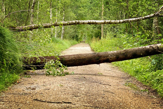 damage