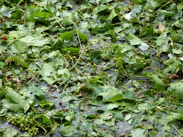 damage