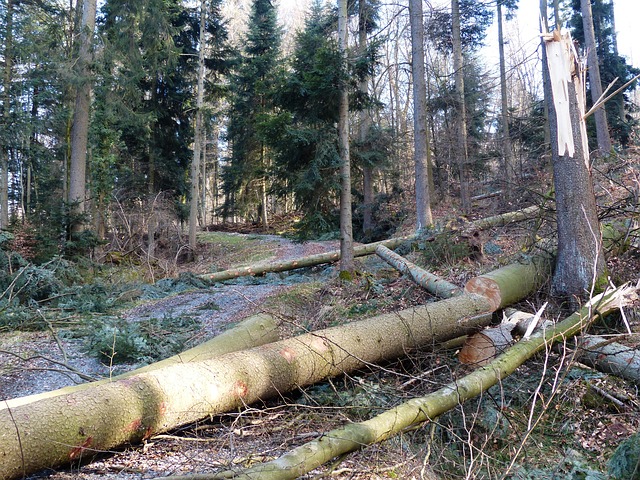 damage