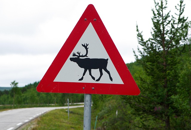 danger