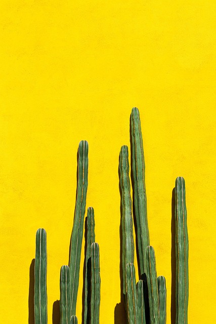 decor