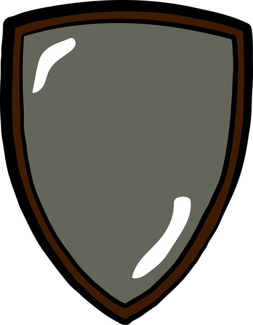 defense