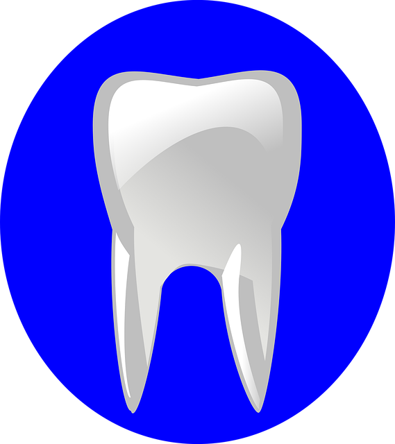 dentist