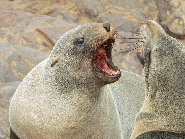 disputes