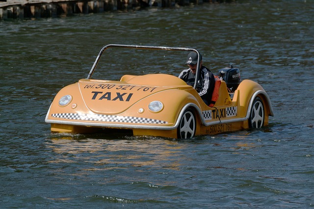 drivers