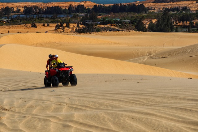 dunes