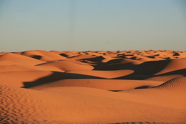 dunes