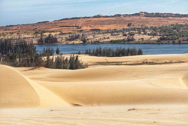 dunes