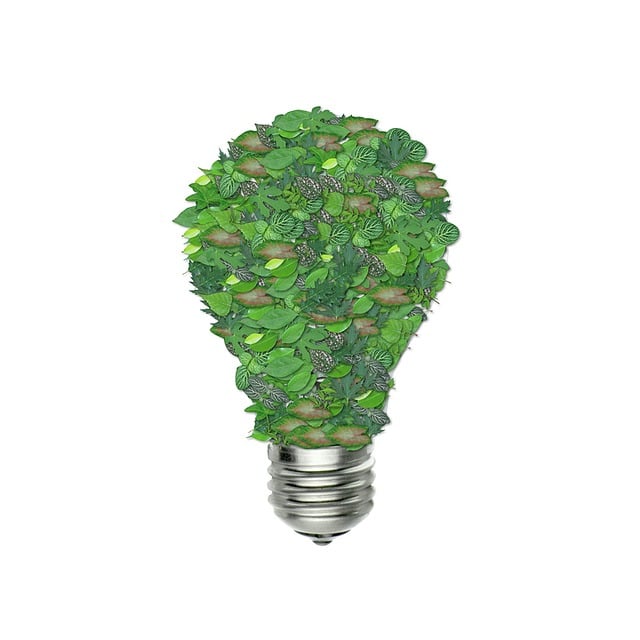 eco friendly