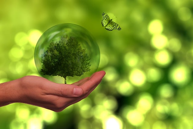 eco friendly