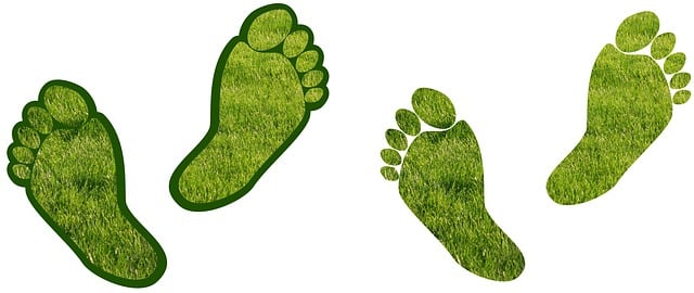 eco-friendly-640x480-47273804.jpeg