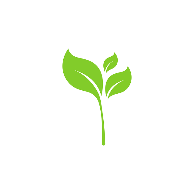 eco friendly