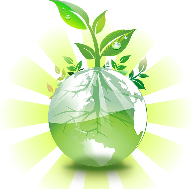 ecofriendly