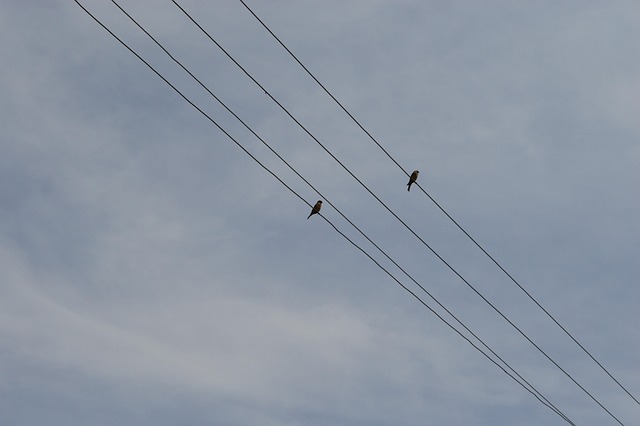 electrician-640x480-54462190.jpeg