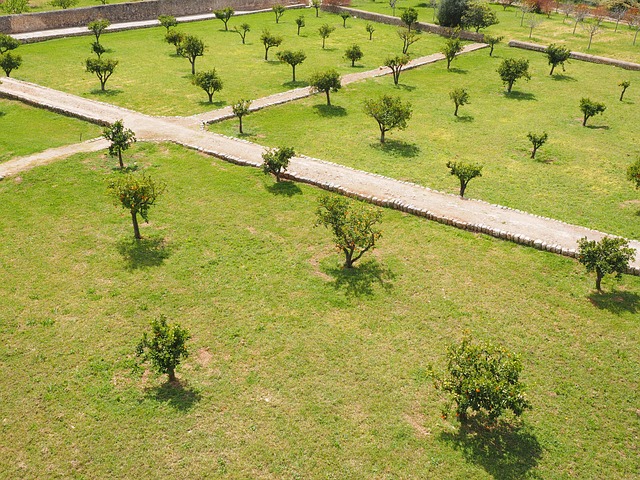 estate