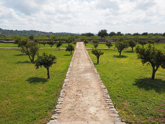 estate
