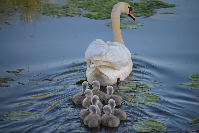 family-640x480-40468506.jpeg