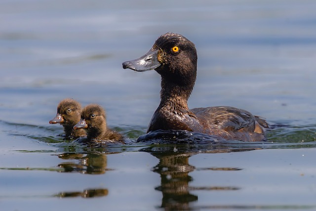 family-640x480-41261831.jpeg