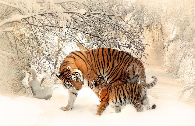 family-640x480-62733045.jpeg