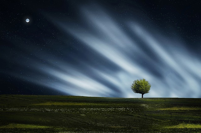 field