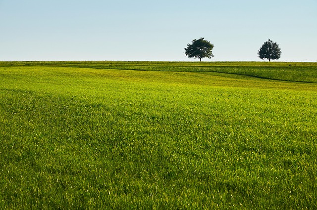field