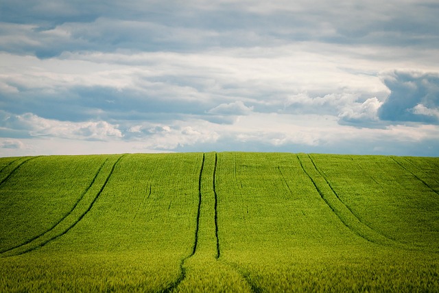 field-640x480-44385572.jpeg