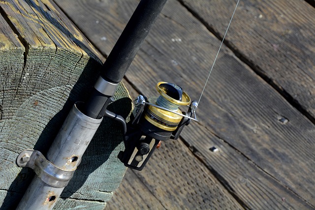 fishing-640x480-14517727.jpeg