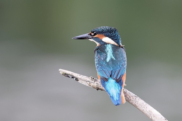 fishing-640x480-37664256.jpeg
