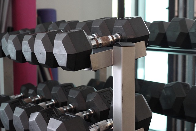 fitness