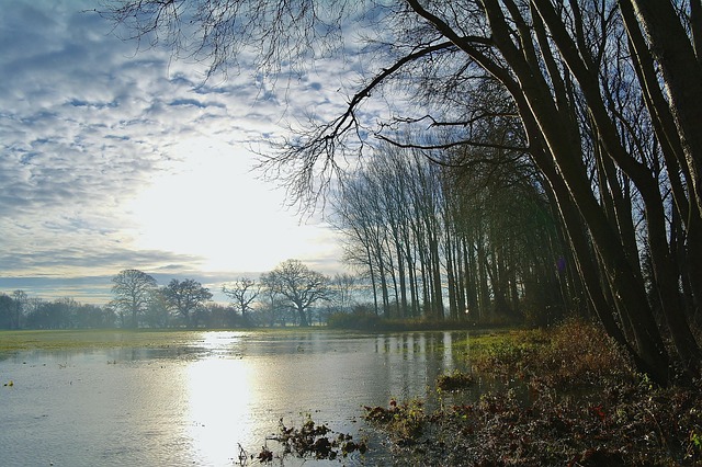 flood