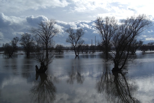 flood
