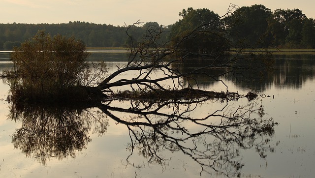 flood-640x480-88250221.jpeg