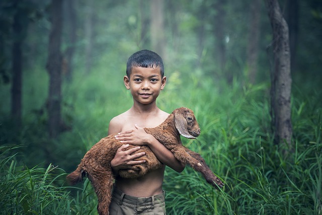 forest-640x480-51218779.jpeg