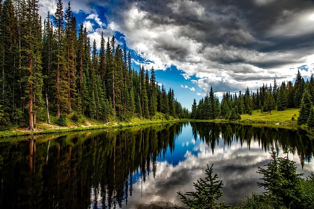 Discover Lane County’s Best Hikes for Breathtaking Fall Foliage