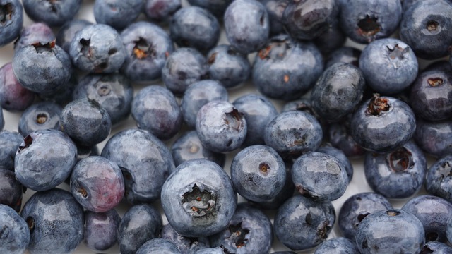 fresh-640x480-79122559.jpeg