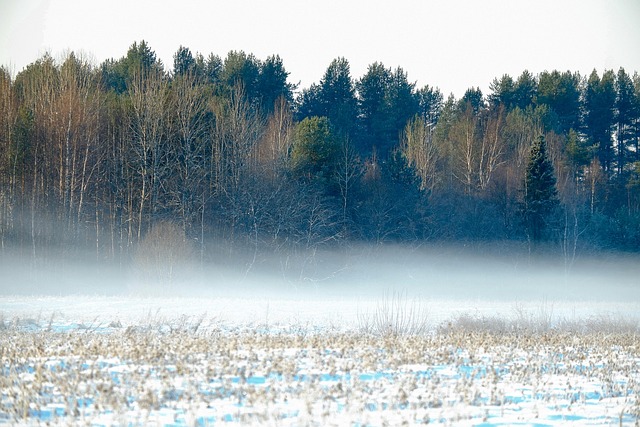 frost