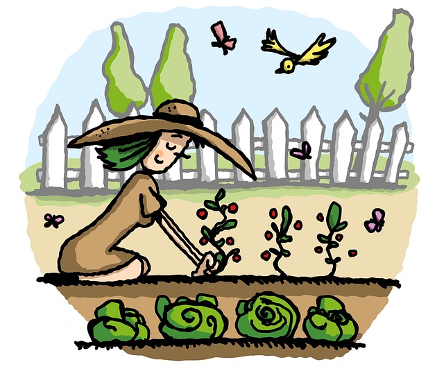 gardens-640x480-560292.jpeg