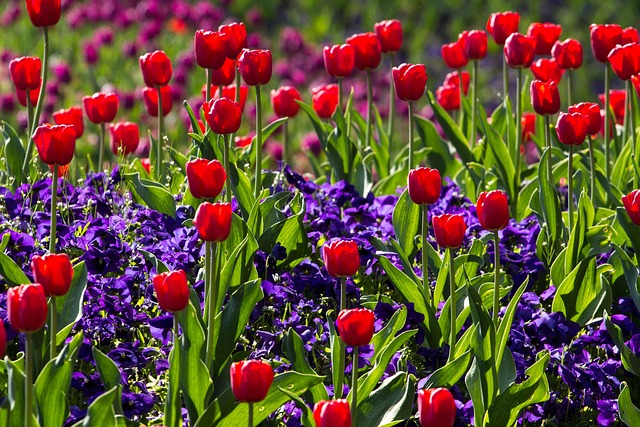 gardens