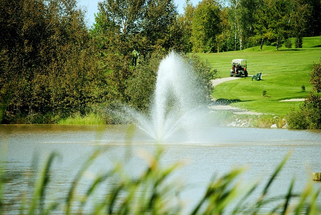 golf-640x480-39172472.jpeg
