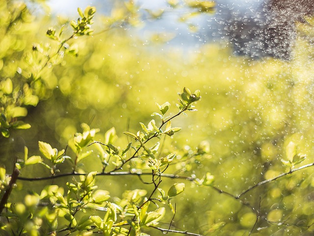 green