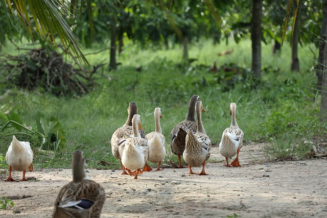 group-640x480-24235375.jpeg