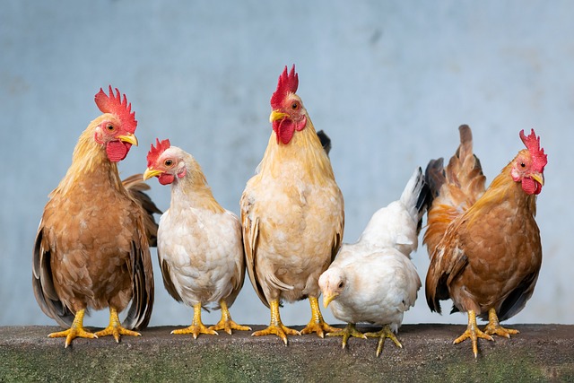 group