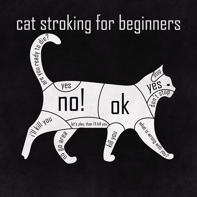 guide