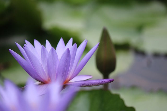 harmony