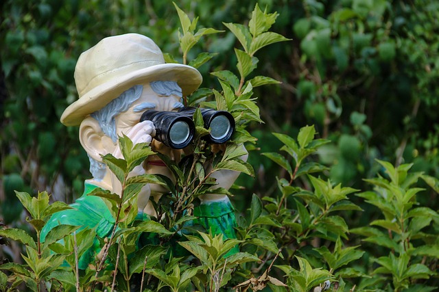 hidden