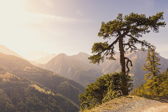 hiking-640x480-6050181.jpeg