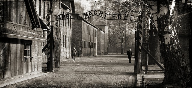 history