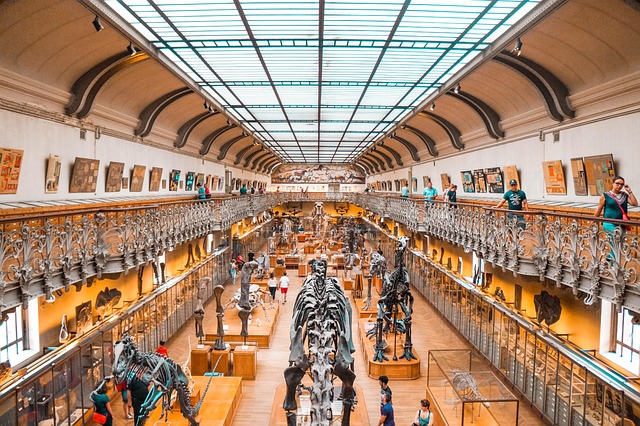 history-640x480-54257044.jpeg