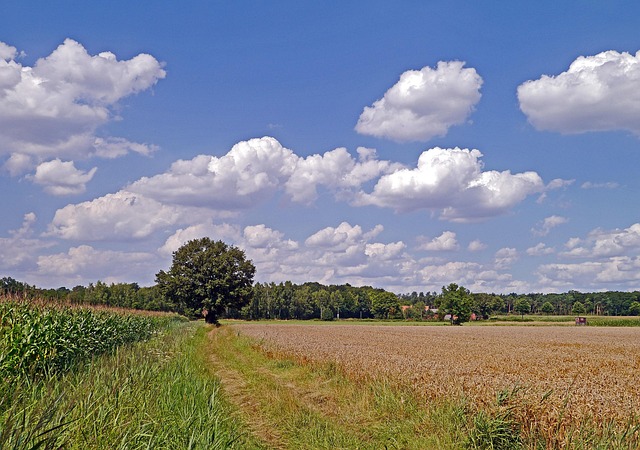 homesteads